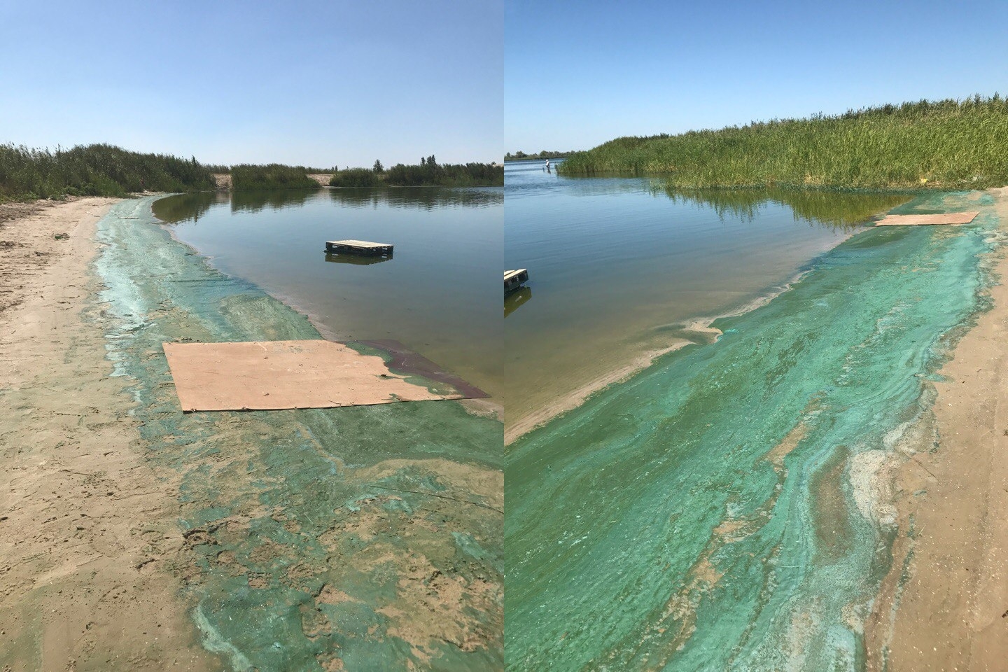 батайск озеро соленое